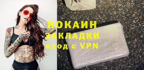 спайс Ладушкин